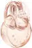 Bulgari Omnia Crystalline Eau de Parfum 2024