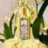 Gucci Flora Gorgeous Orchid Eau de Parfum (150ml)