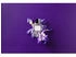 Essential Parfums Velvet Iris Eau de Parfum