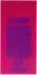 Ralph Lauren The Big Pony Collection 2 Woman Eau de Toilette (100ml)