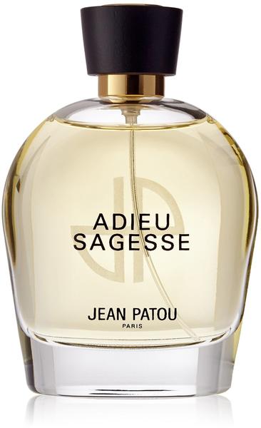 Jean Patou Adieu Sagesse Eau de Parfum (100ml)