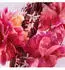 Dior Miss Dior Roller-Pearl Parfum (20ml)