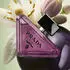 Prada Paradoxe Sweet Chemistry Eau de Parfum (30ml)