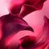 Lancôme La Vie Est Belle L'Elixir Very Cherry Eau de Parfum (30ml)