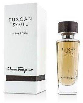 Salvatore Ferragamo Terra Rossa Eau de Toilette (75ml)