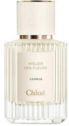 Chloé Cedrus Eau de Parfum (50ml)