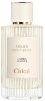 Chlo&eacute; Atelier des Fleurs Herba Mimosa