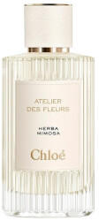 Chloé Herba Mimosa Eau de Parfum (150ml)