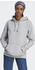 Adidas adicolor Essentials Regular Hoodie (IJ9760) medium grey heather