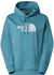 The North Face Drew Peak Hoodie