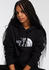The North Face Drew Peak Hoodie