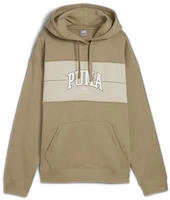Puma 681540, PUMA Damen Kapuzensweat SQUAD Hoodie FL Oak Branch female