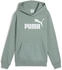 Puma ESS No. 1 Logo Hoodie FL Boys (684908)