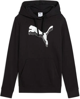 Puma Ess Metallic Regular Fit Kapuzenpullover 684997-01-130