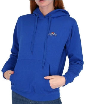 Fruit of the Loom Kapuzensweatshirt Vintage-Logo royal