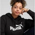 Puma Ess Foundation Hoodie Kängurutasche puma black