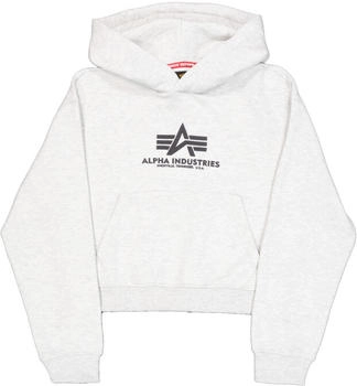 Alpha Industries Basic Big Logo Puff Print Hoodie Größe Grau (258040-752)