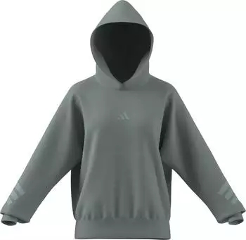Adidas Future Icons 3-Streifen Hoodie Wonder Sage (KD7741)
