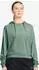 Nike NSW Chill Hoodie (IF0230-006) steam/steam/sail