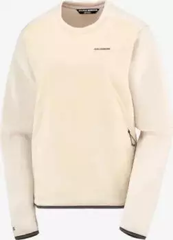 Salomon Outline Warm Hooded Pullover rainy day (Damen) (LC2326400)