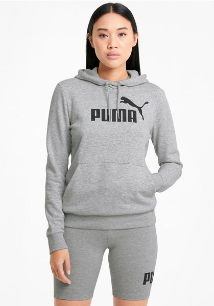 Puma Essentials Logo Hoodie (586791) light gray heather