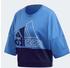 Adidas Must Haves Colorblock Sweatshirt blue (FK6641)