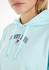 Tommy Hilfiger Relax Essential Logo Hoodie Sweater (DW0DW14852) aqua blue