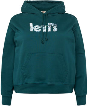Levi's Plus Graphic Standard Hoodie green (52488-0045)