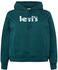 Levi's Plus Graphic Standard Hoodie green (52488-0045)