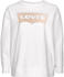Levi's Plus Graphic Standard Sweatshirt white (86920-0008)