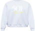 Levi's Pl Graphic Vintage Crew Sweatshirt white (A3605-0002)