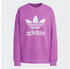 Adidas Trefoil Crew Sweatshirt Rosa (HL6676)