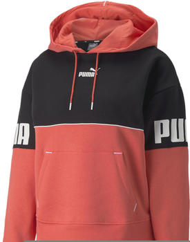 Puma Power Colorblock Fl Sweatshirt Orange (84995235)
