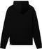 The North Face Women's Plus Size Drew Peak Pullover Hoodie (7QZK) tnf black