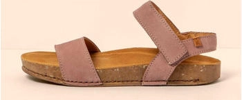 El Naturalista Balance (N5790)