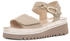 Ara Hawaii (12-29005)