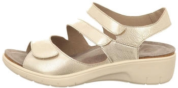 Solidus Comfort Sandals gold