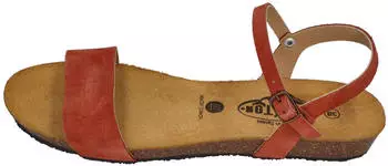 Plakton Fran Ambo (405725) terracota