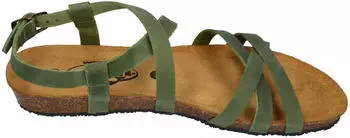 Plakton Fran Vali (405184) grün