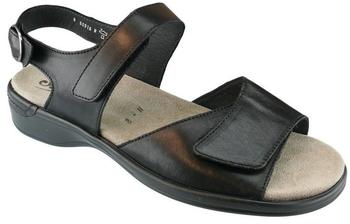 Semler Heike (H1115)