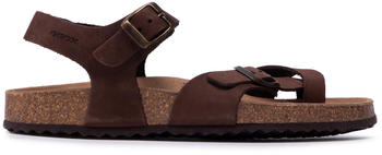 Geox Brionia F Woman brown