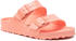 Birkenstock Arizona Birko-Flor