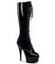 Pleaser Delight-2023