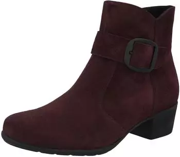 Solidus Kerry (35025) rot