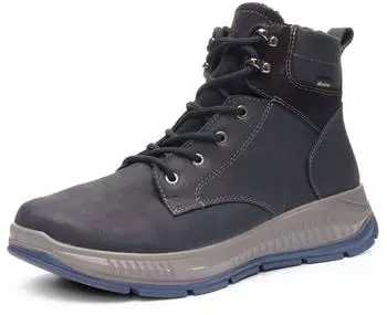 Ara Aldo blau22