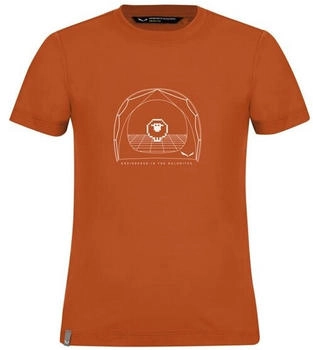 Salewa Graphic Dry S S Tee rot
