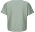 Fjällräven Fjällblomster Logo T-Shirt Damen Misty Green (F14600213)