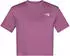 The North Face Cropped Simple Dome T-Shirt