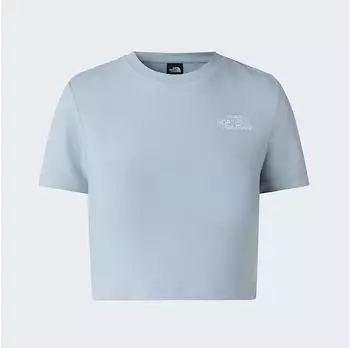 The North Face T-Shirt (NF0A55AO) frost grey