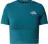 The North Face T-Shirt (NF0A55AO)